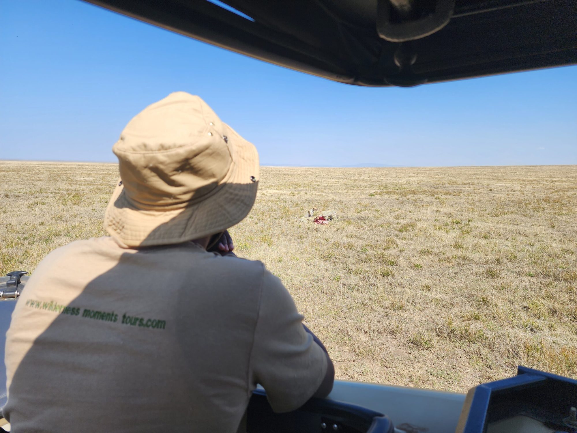 Serengeti National Park savanna