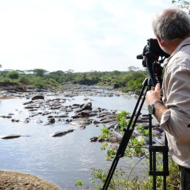 Wildlife viewing along the Rufiji River in Nyerere National Park