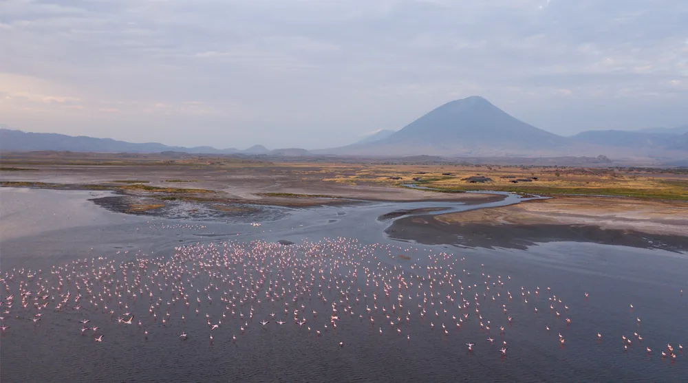 Flamingos at a Rift Valley lake near Lake Nakuru, Kenya