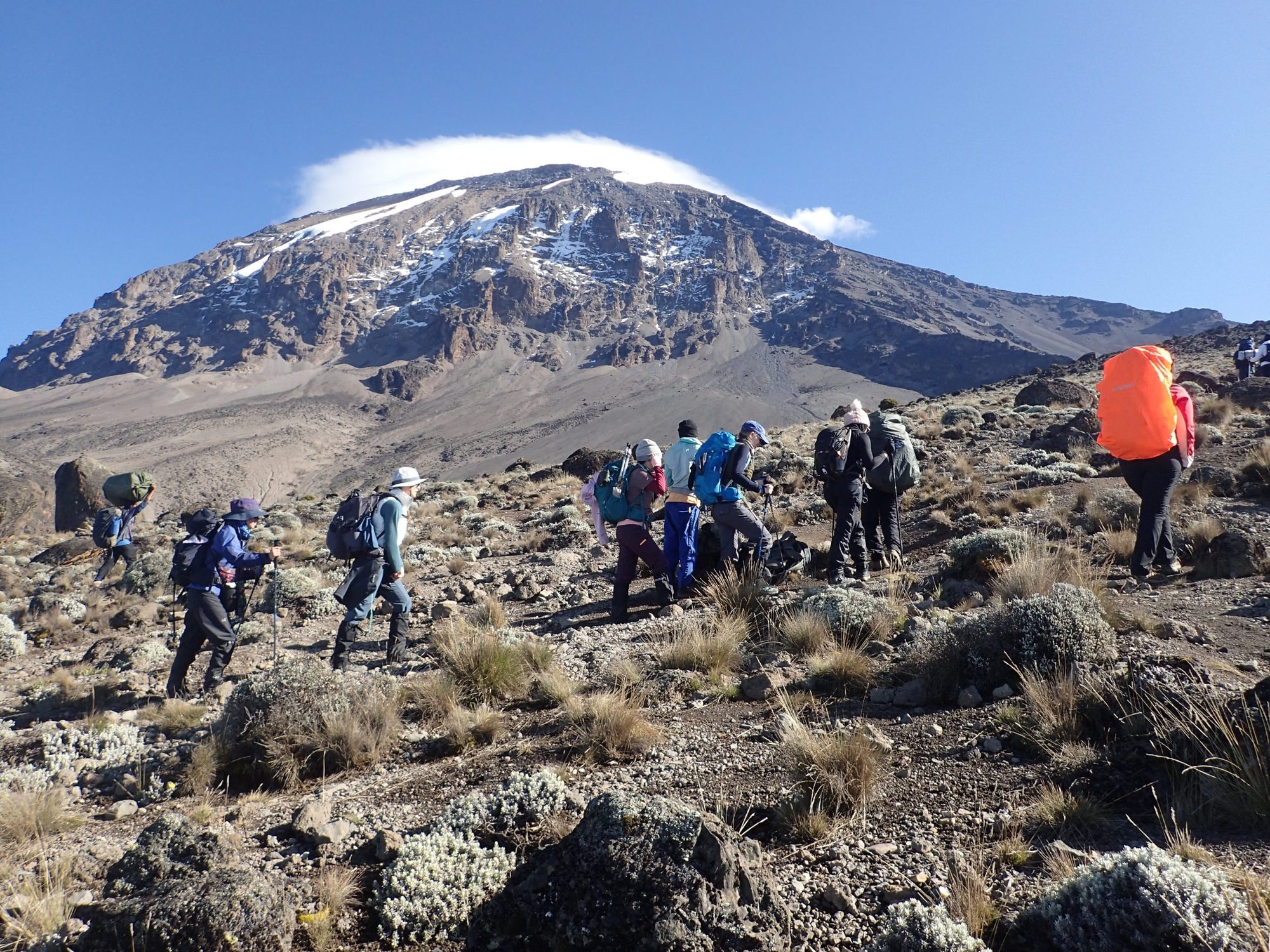 Kilimanjaro trekking combined with Tanzania wildlife safari