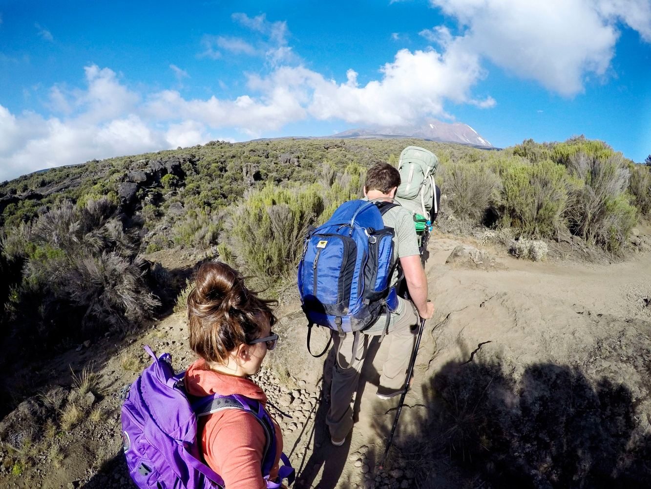 Rongai route quiet Kilimanjaro trail
