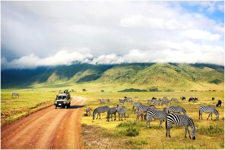 Lake Manyara National Park landscape