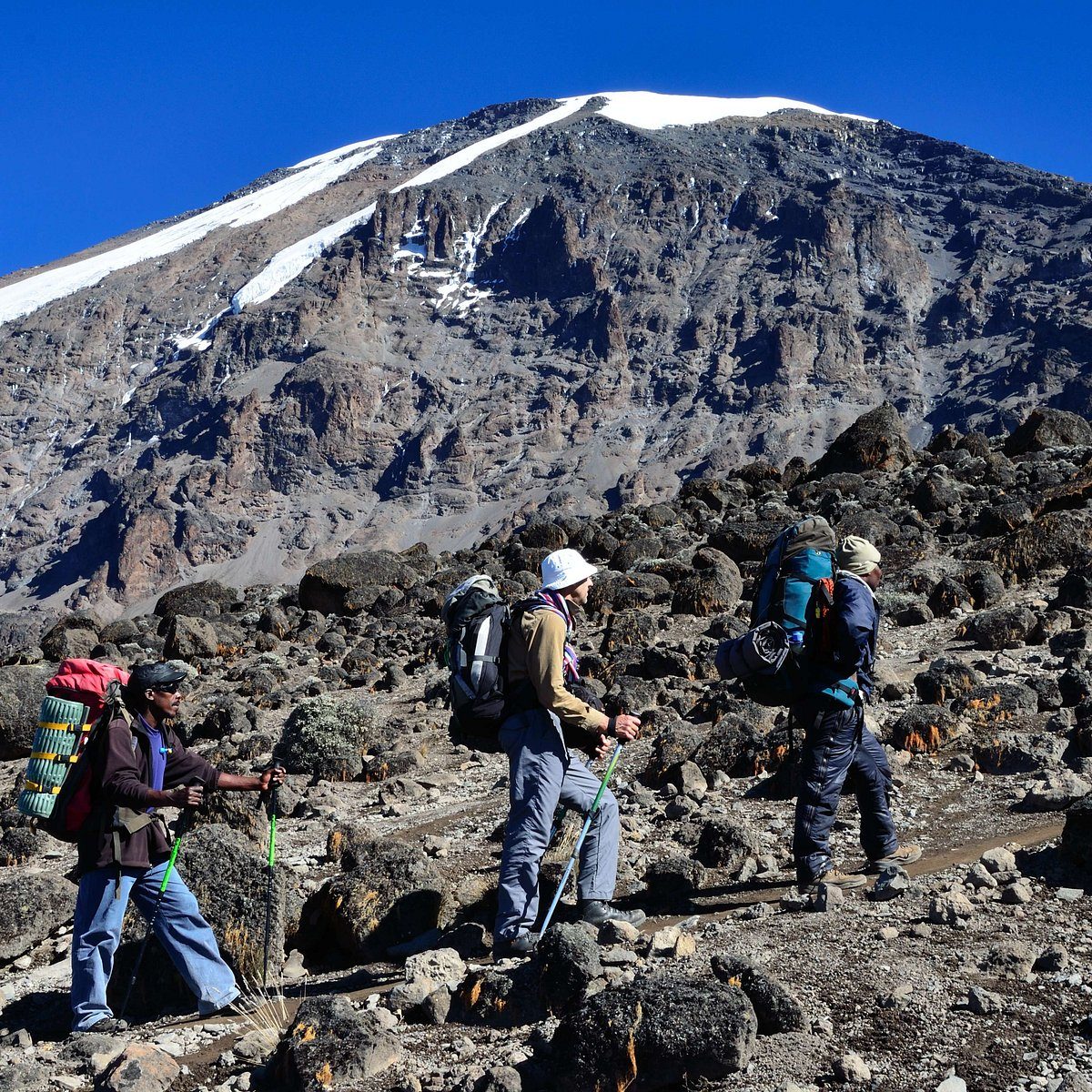 Porter and climbers on a Kilimanjaro trail