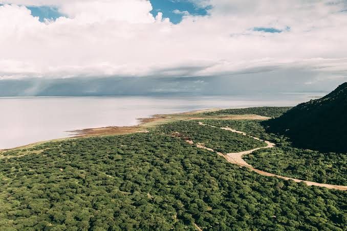 Lake Manyara National Park landscape