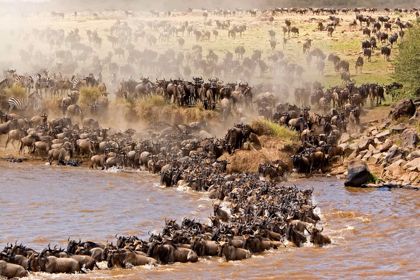 7 Days Tanzania Safari and Culture Experience