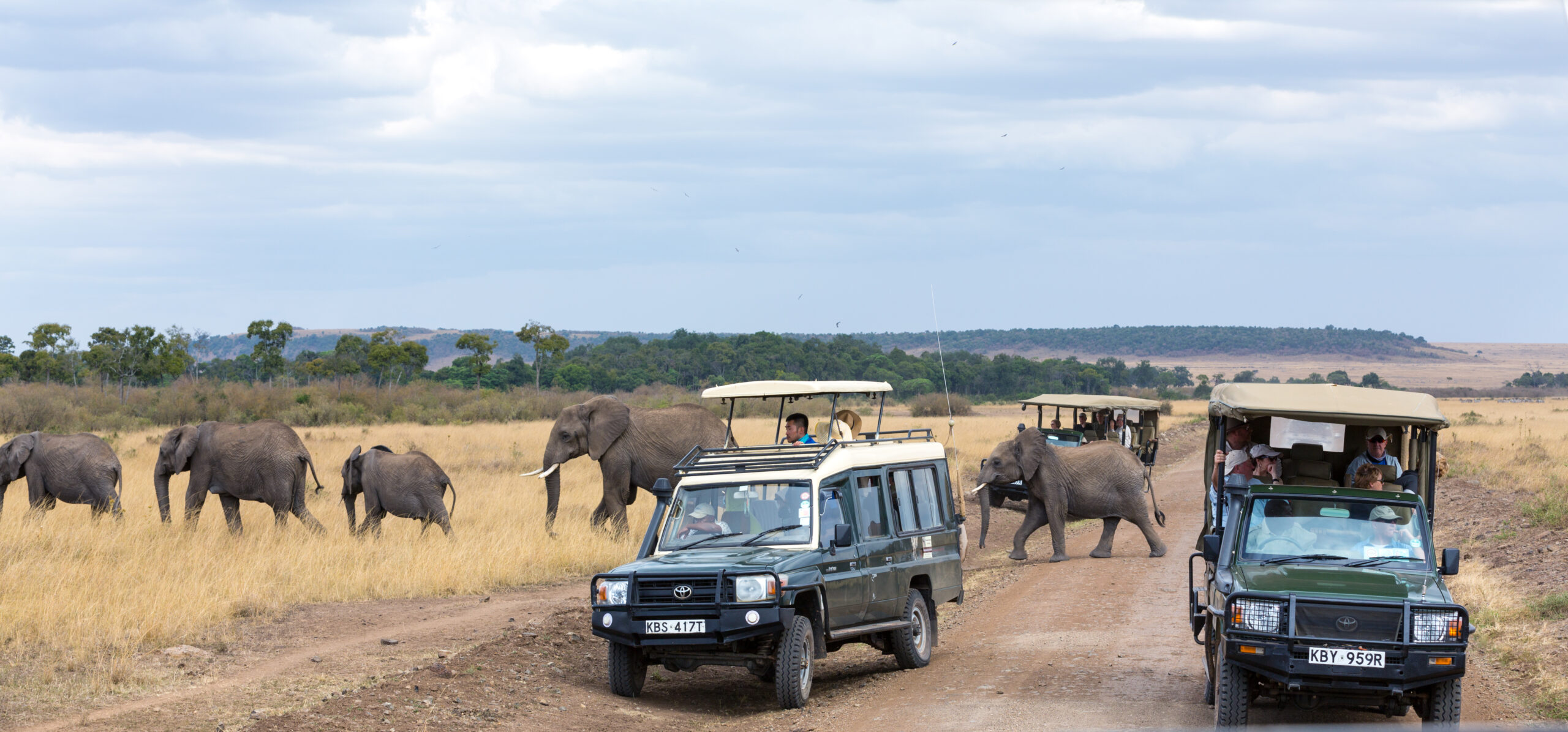 3 Days Tanzania Safari and Adventure Tour