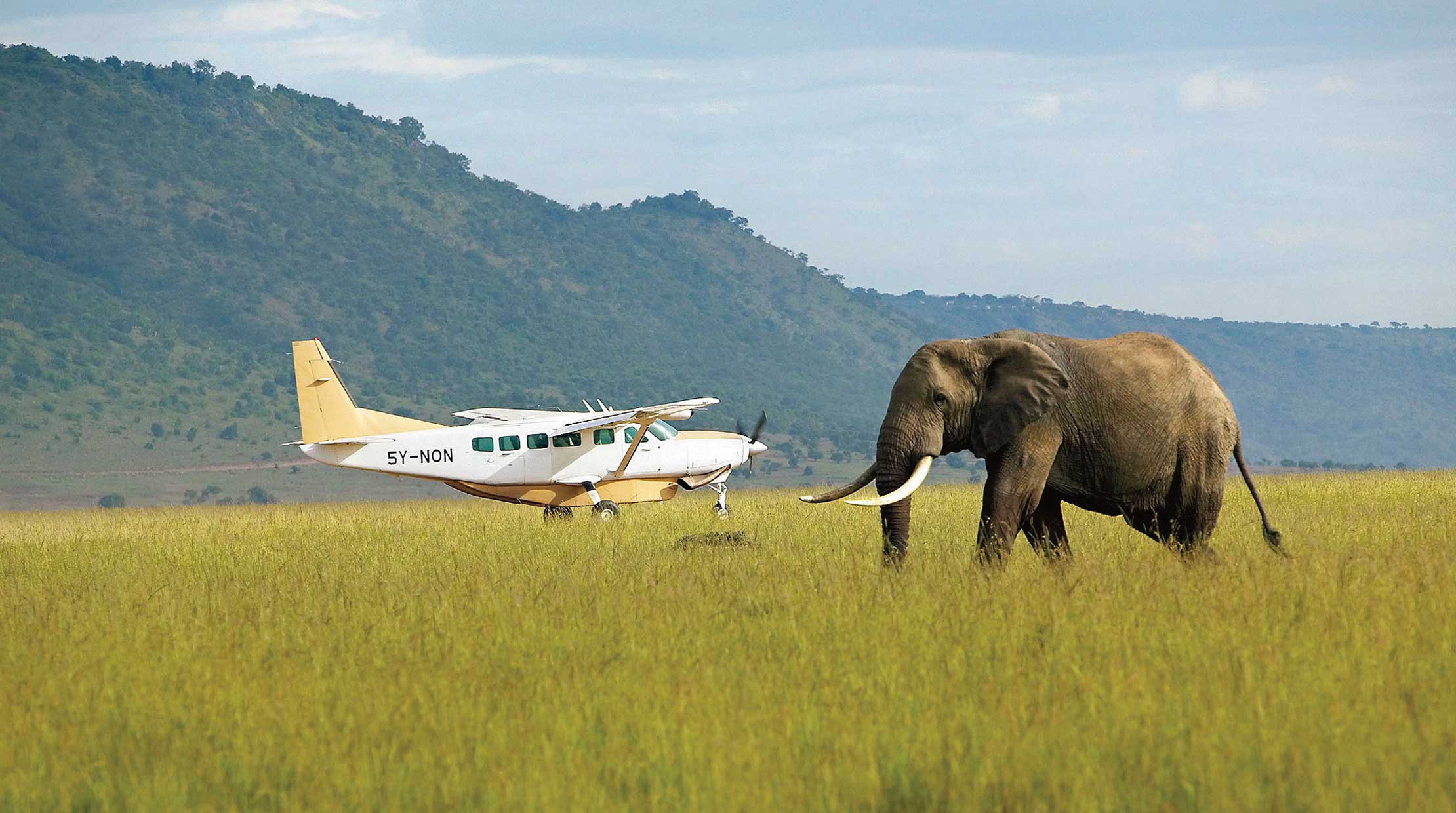 3 Days Serengeti National Park Fly In Short Tanzania Safari